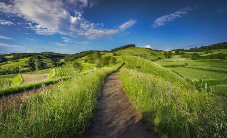 Javni poziv za dodjelu potpora za ulaganja u razvoj i unaprjeđenje ruralnog turizma na području Osječko-baranjske županije u 2018. godini.